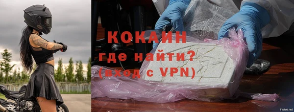 крисы Абаза