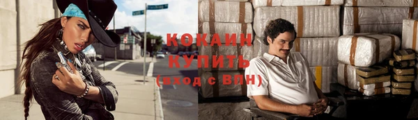 крисы Абаза