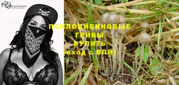амф Алексин