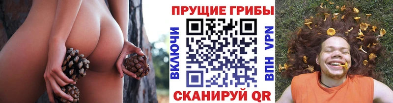 мега зеркало  Нюрба  Галлюциногенные грибы ЛСД 